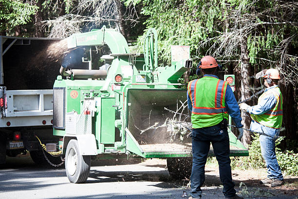 Best Commercial Tree Services  in Oxford, MI